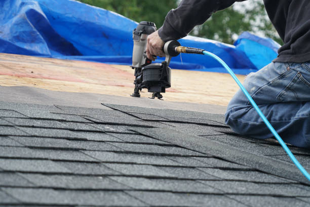 Best Flat Roofing  in Montgomery, MN